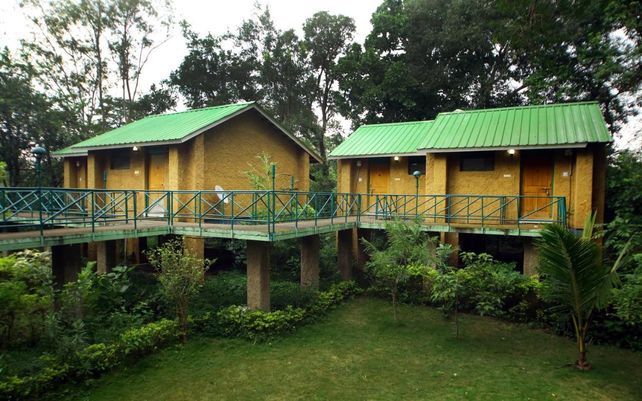 Mpt White Tiger Forest Lodge Tāla Esterno foto
