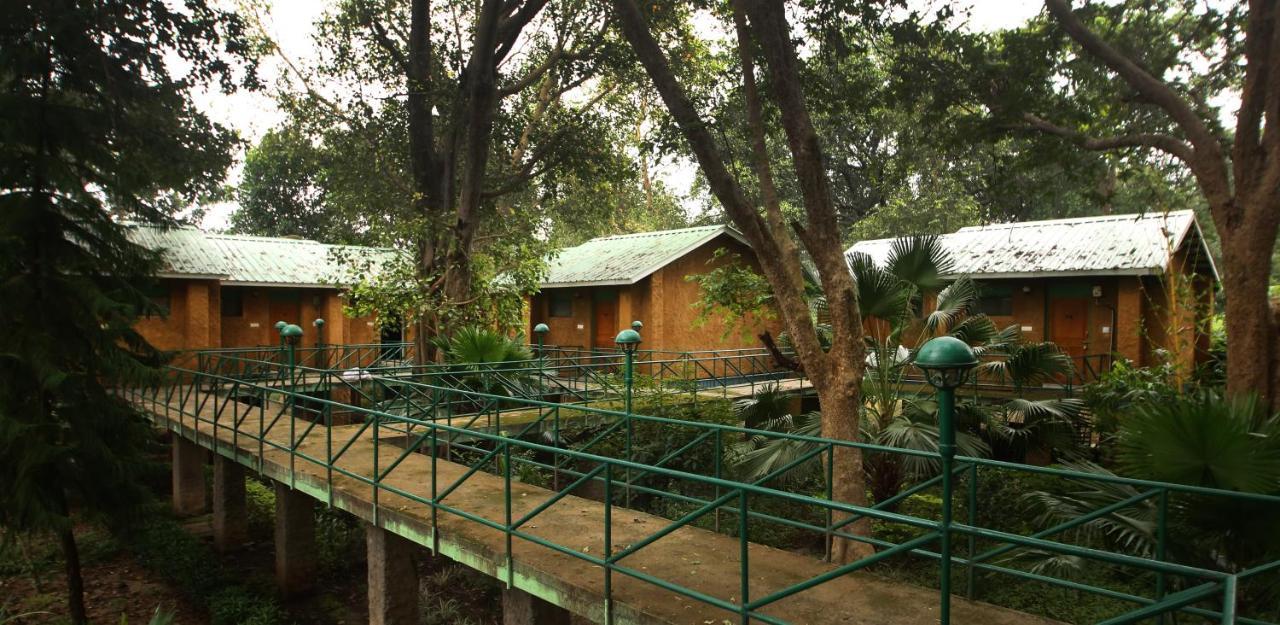 Mpt White Tiger Forest Lodge Tāla Esterno foto